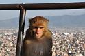 03. swayambhunath (23)